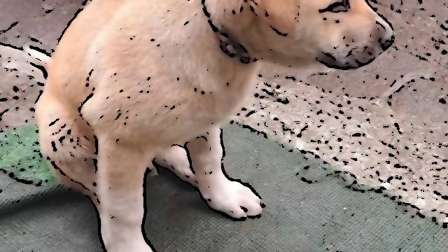Ordu'da Yavru Köpeklere Çarpan Sürücü Kaçtı